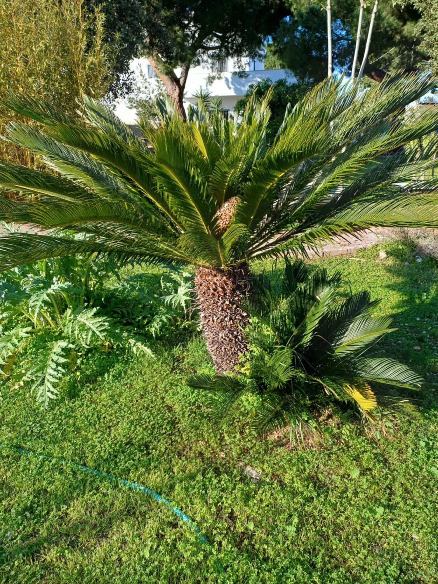 Villa Alma Bari Exteriér fotografie